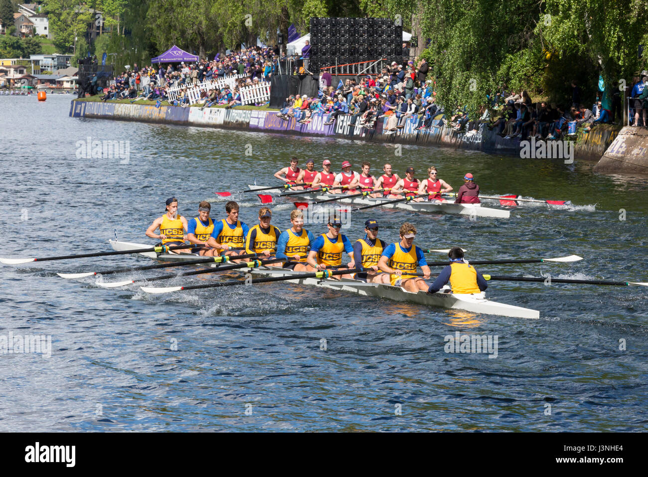 Crew Racing High Resolution Stock Photography and Images - Alamy