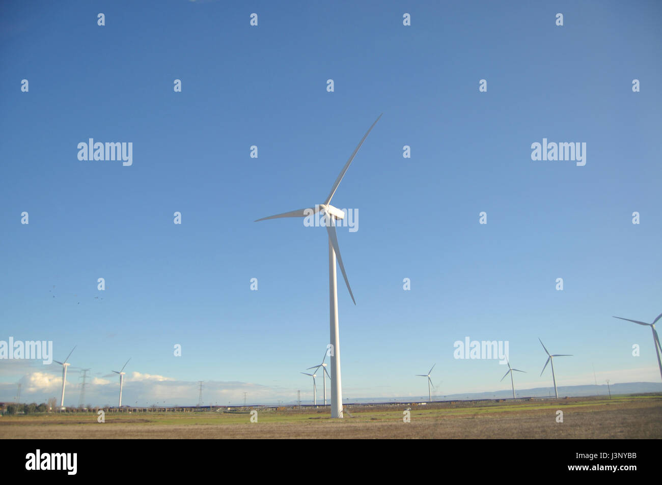 Eolian park producing wind energy Stock Photo