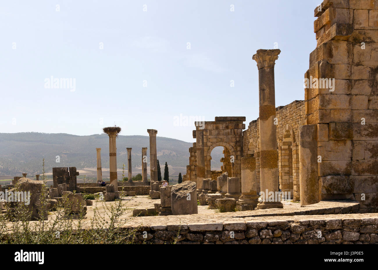 Arches and Columns of the old basilica in the Ruins of the ancient Roman City of Volubilis, Morocco Stock Photo