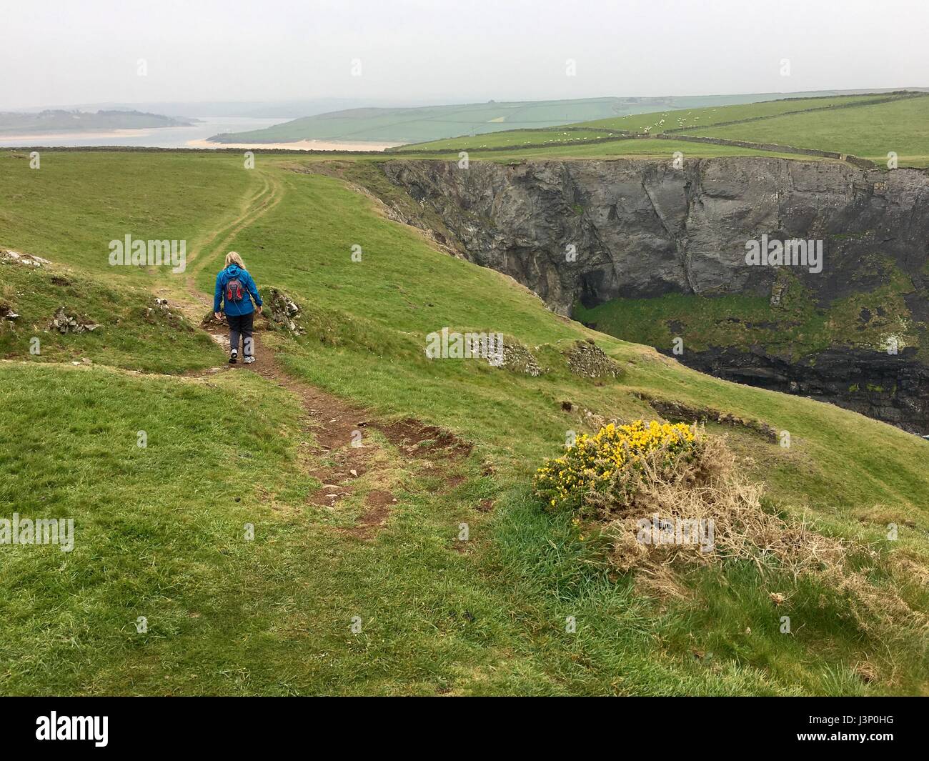 Padstow Cliff Walk Stock Photo Alamy