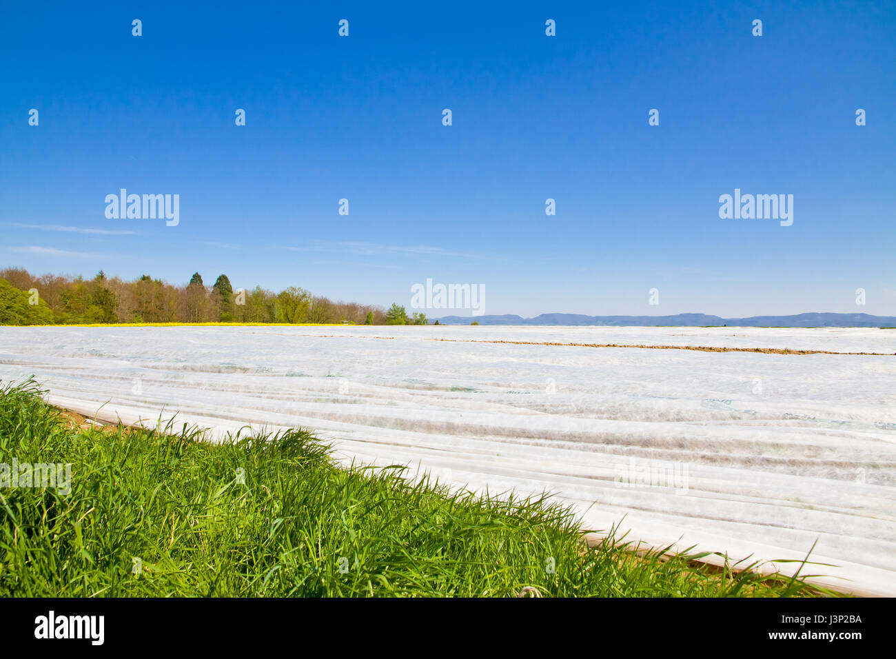 Plastic sheet slide hires stock photography and images Alamy