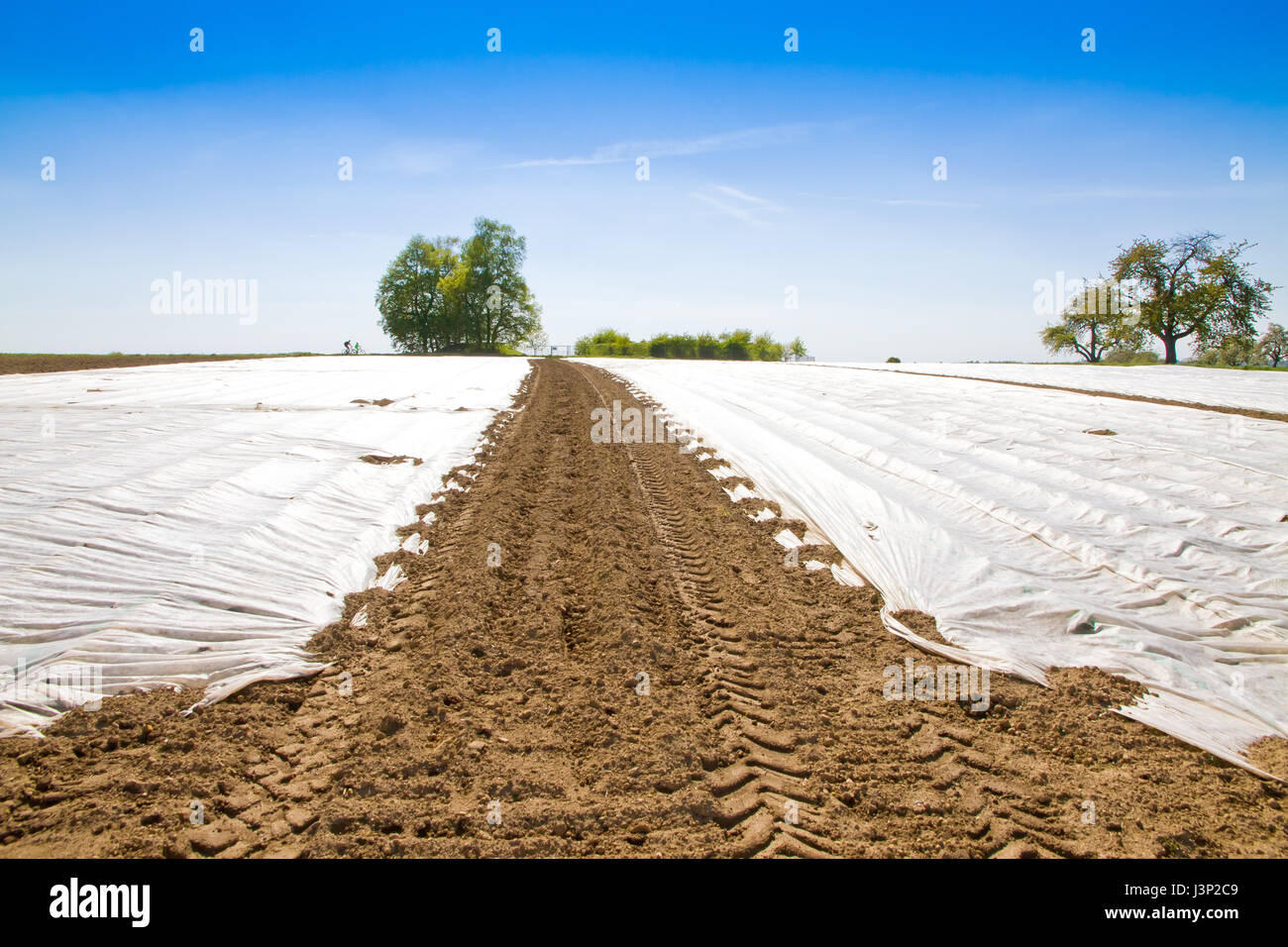 Plastic sheet slide hires stock photography and images Alamy