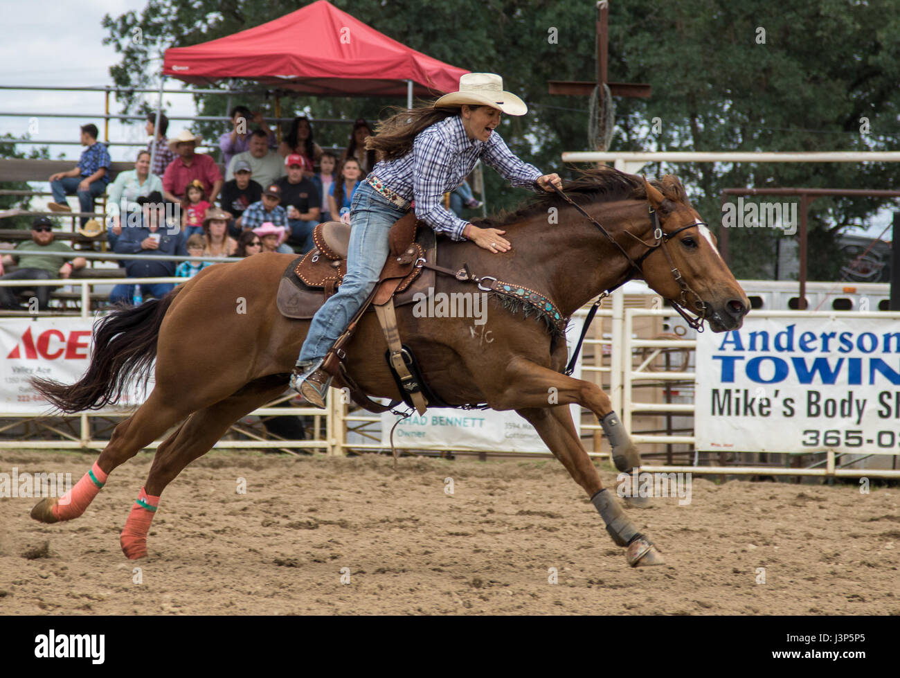 Rodeo action at the Cottonwood Rodeo in California Stock Photo - Alamy