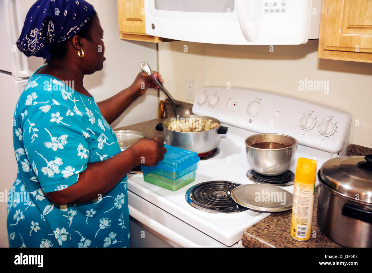 Miami Florida,Little Haiti,Lafayette condominium,residential,apartment