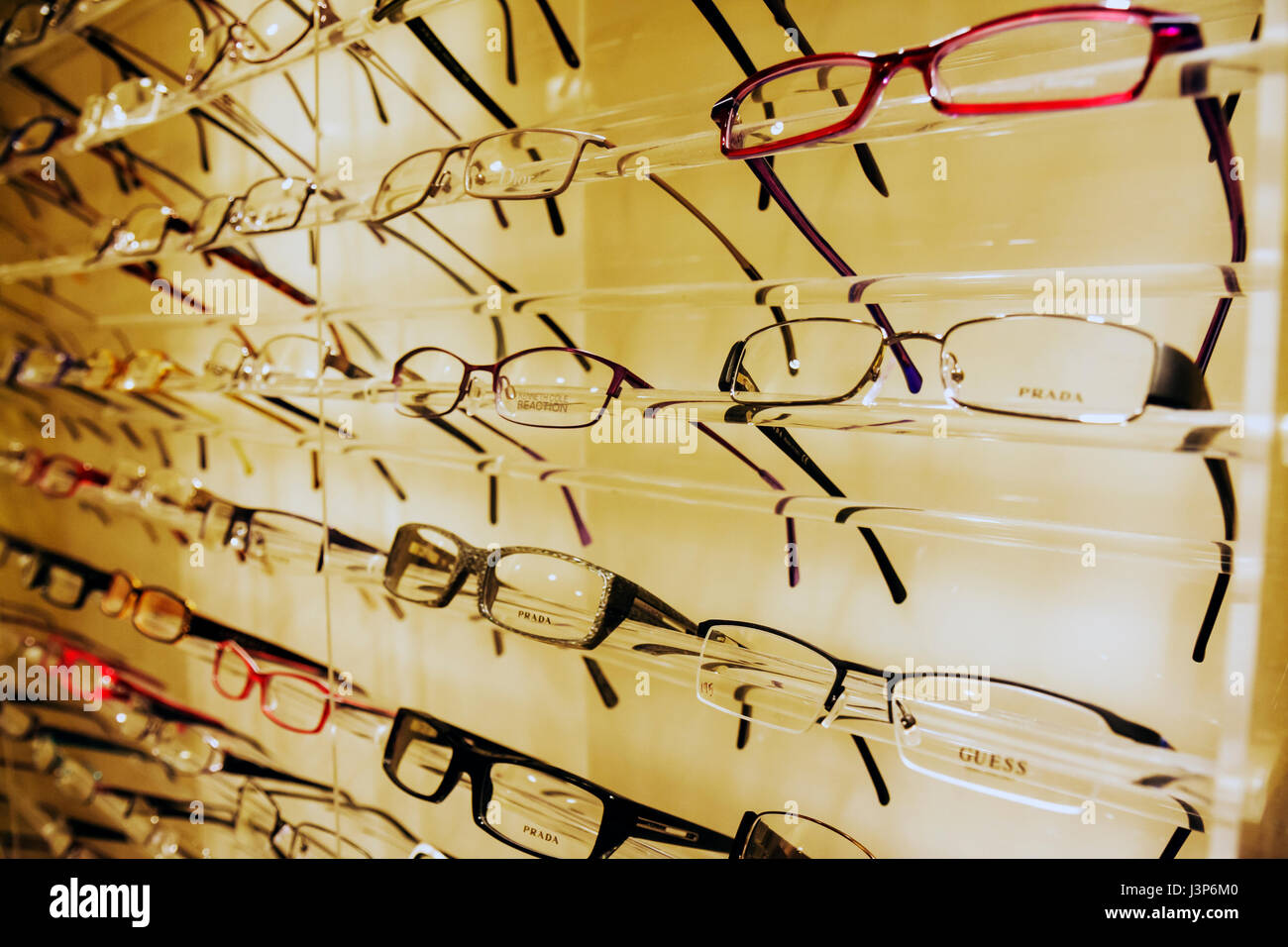 eyeglasses miami fl