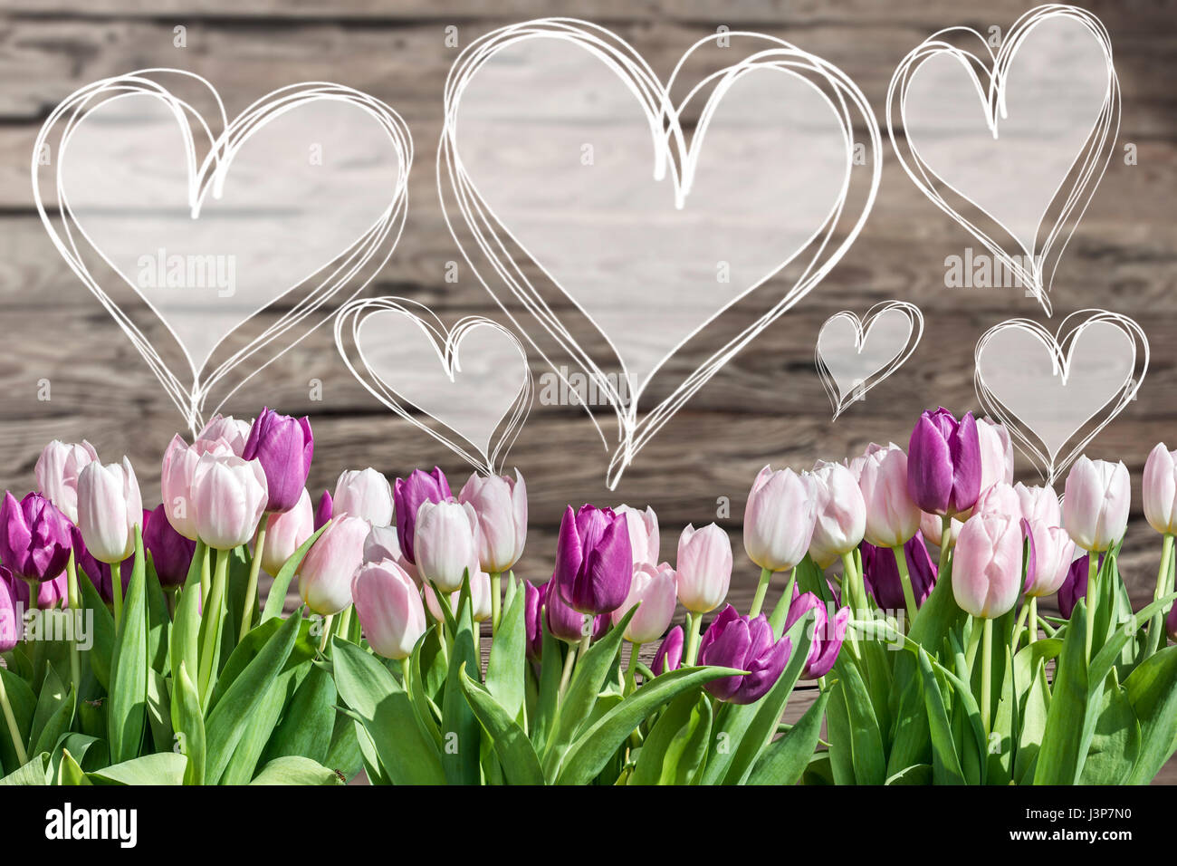 Bouquet of white and pink tulips and heart frames with words textspace ...