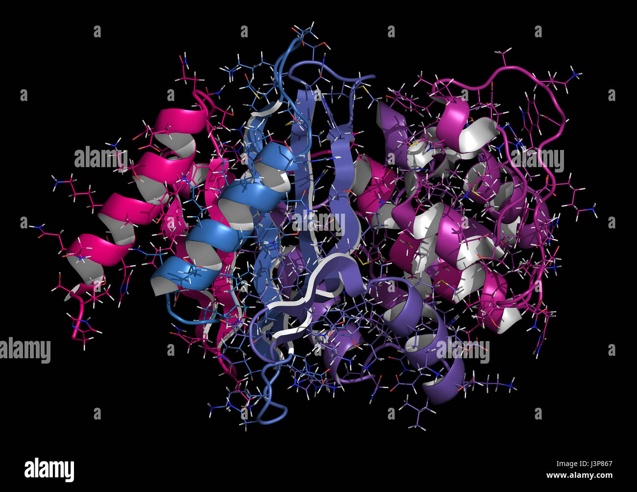Carbapenemase carbapenem antibiotic resistance enzyme. Carbapenemase OXA-24 from the bacterium Acinetobacter baumannii. Cartoon + line model; N-to-C g Stock Photo