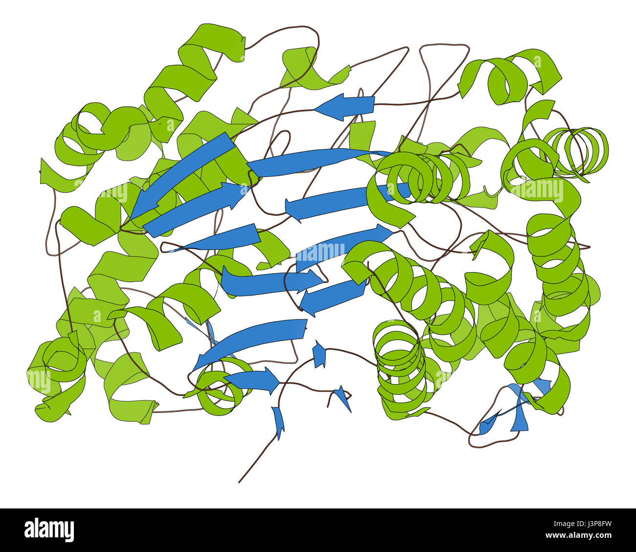 Gamma glutamyl transferase