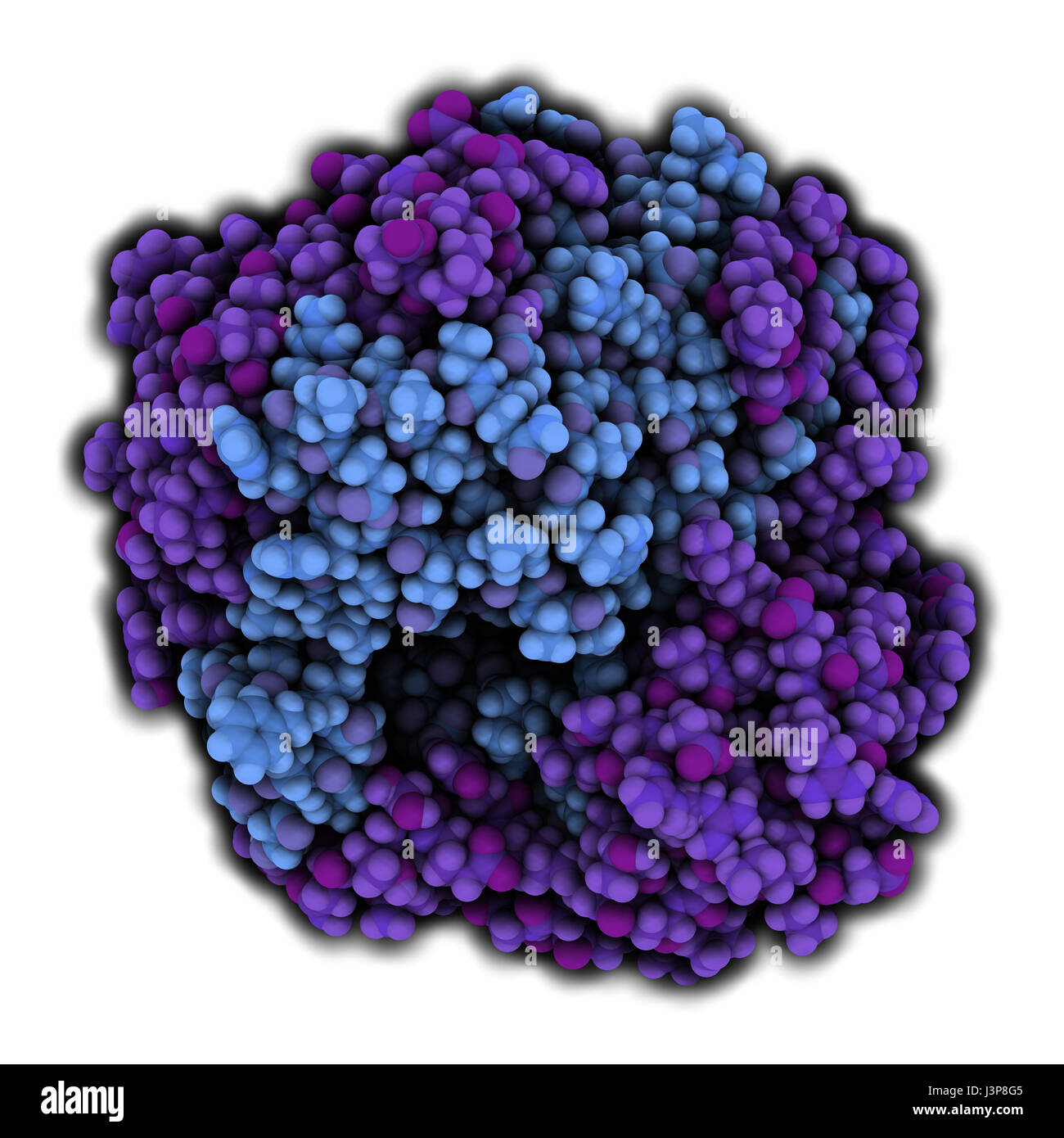 Gamma-glutamyltranspeptidase 1 (GGT 1, gamma-GT, gamma-glutamyl  transferase) enzyme. Used as diagnostic marker for liver disease. Atoms  shown as color Stock Photo - Alamy