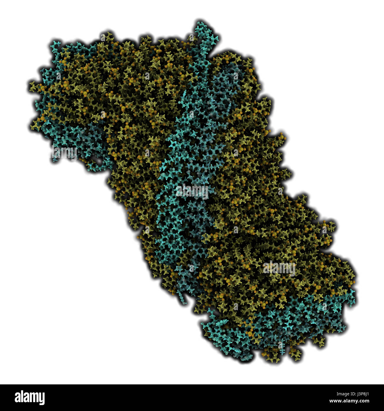 High density lipoprotein (HDL). Carrier of 'good' cholesterol in the blood. Particle composed of Apoliprotein AI wrapped around lipid core. Atoms show Stock Photo