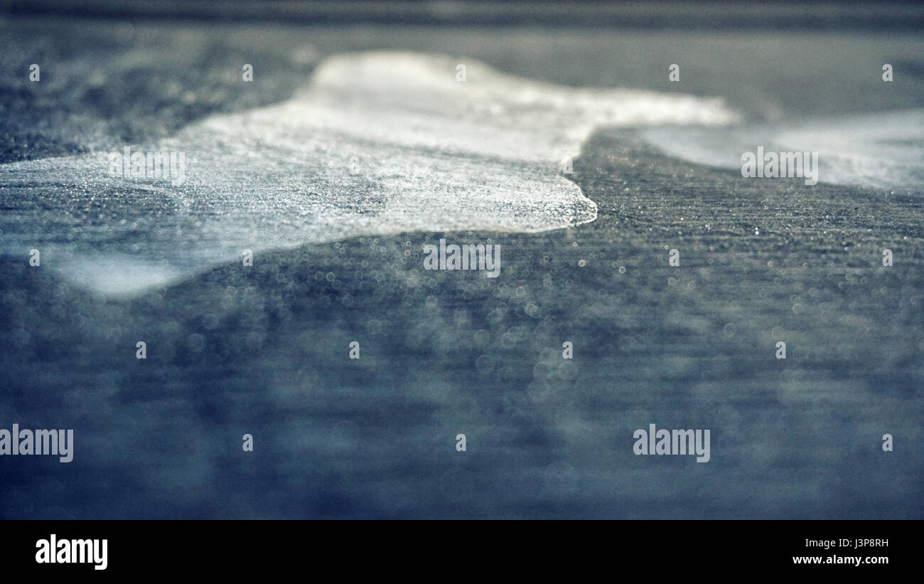 Dust on a tree with a falling light Stock Photo - Alamy