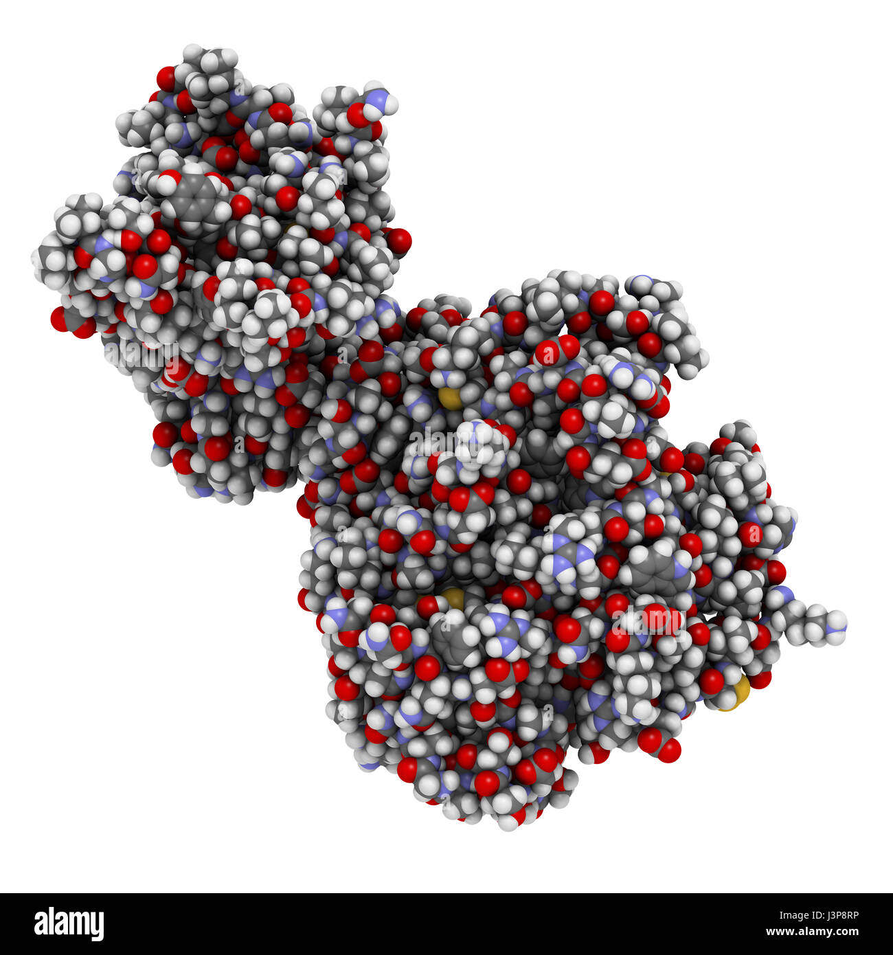 Lipase hires stock photography and images Alamy