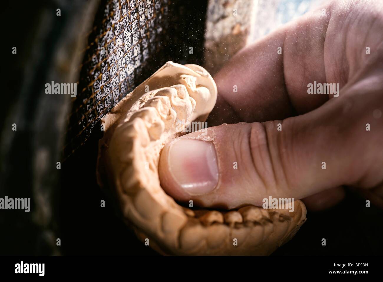 Dental mold, close up. Stock Photo