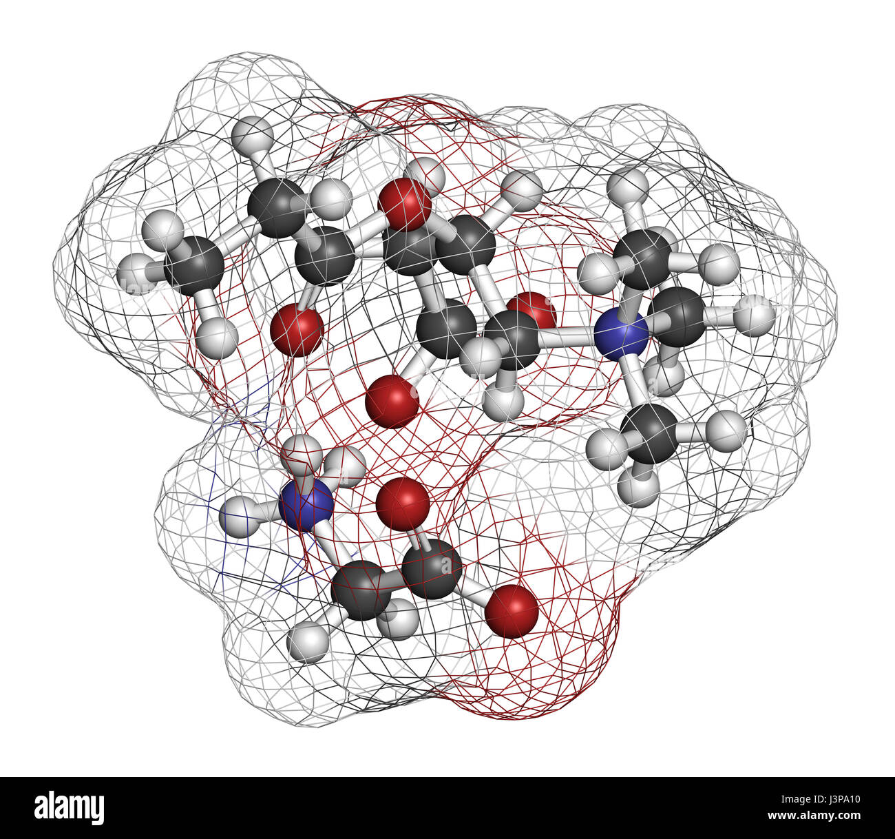 acetyl l carnitine time of day Can Acetyl-L-Carnitine Help Clear Brain Fog and Fatigue in Long COVID and  ME/CFS?