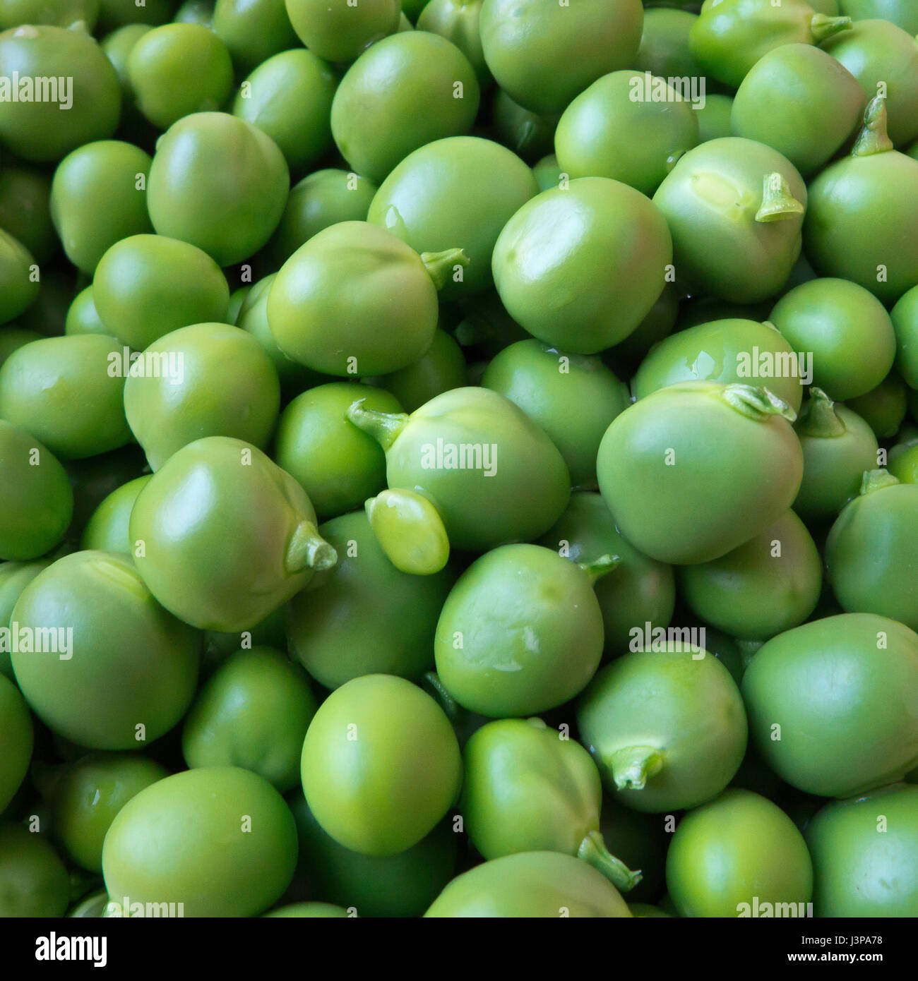 Fresh peas. Stock Photo