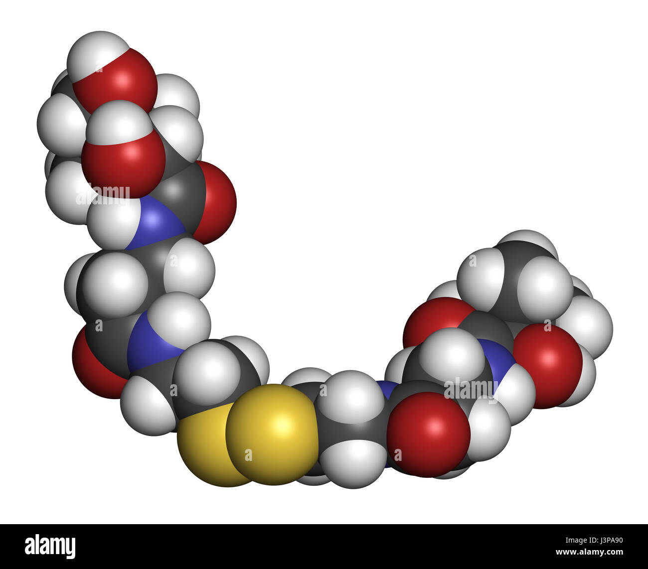 Pantethine (dimeric vitamin B5) molecule. Used in dietary supplements