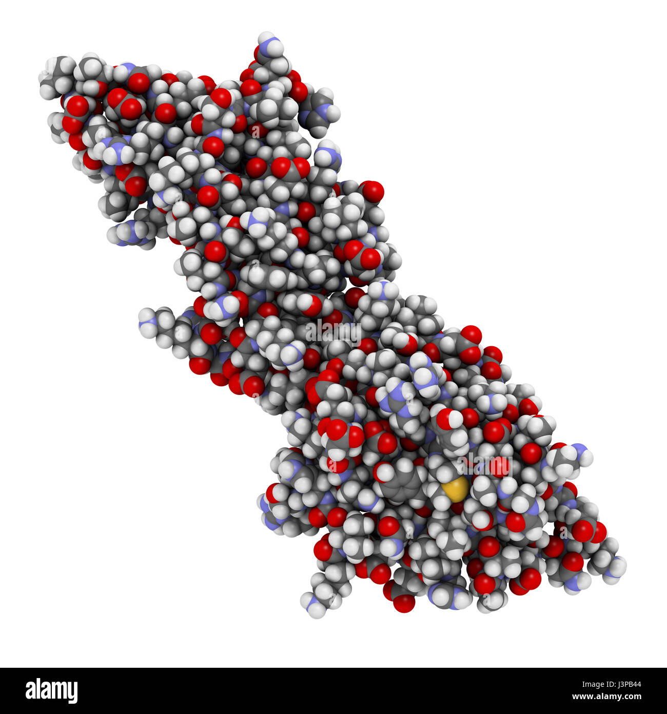 Programmed death-ligand 1 (PD-L1) protein. Produced by tumor to suppress the immune system. Blockers of the PD-L1 and PD-1 interaction are an importan Stock Photo