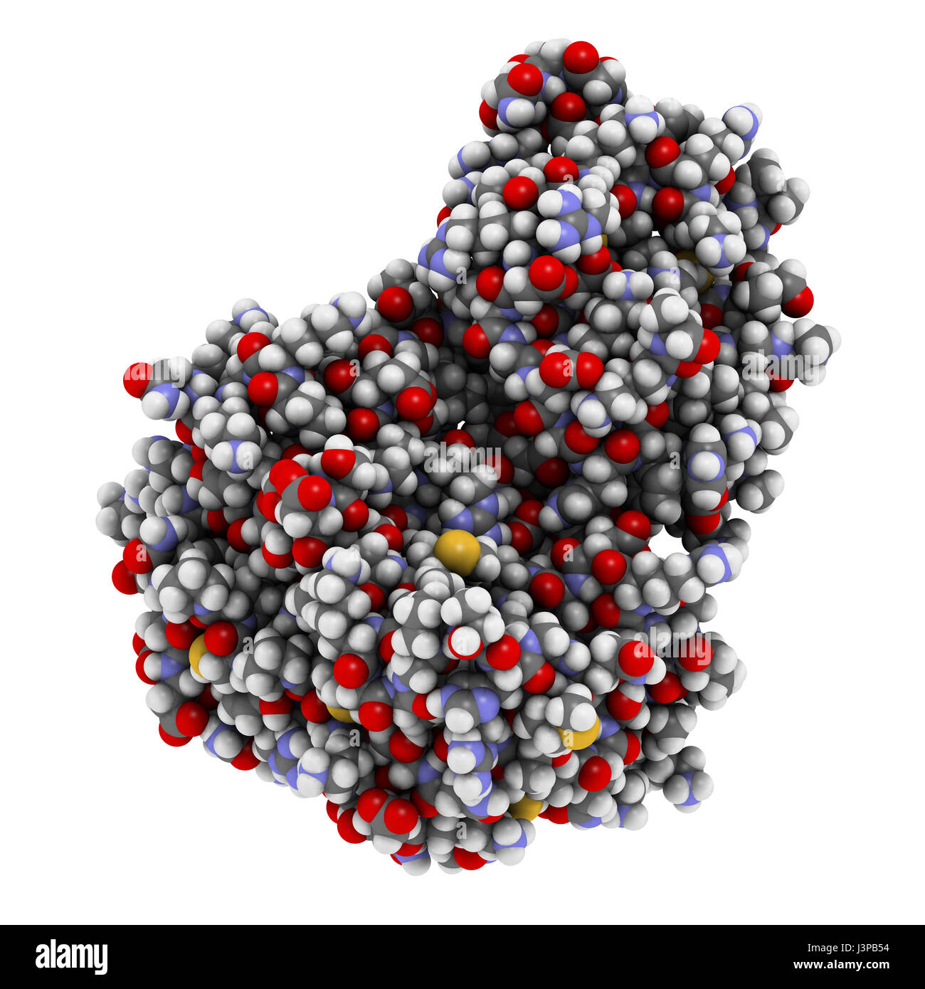 Janus kinase 1 protein. Part of JAK-STAT signalling pathway and drug target. Atoms are represented as spheres with conventional color coding. Stock Photo