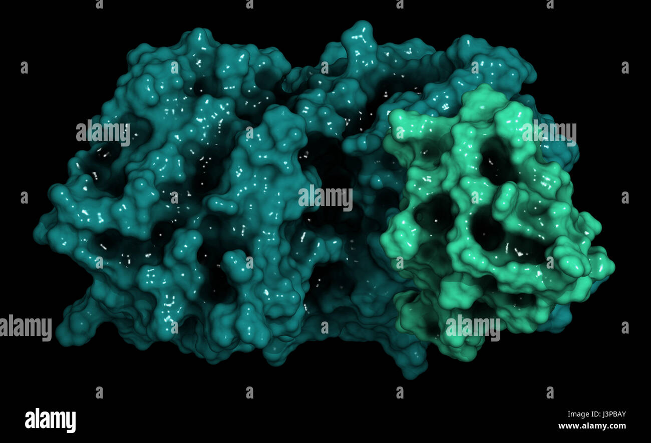 Proprotein convertase subtilisin kexin type 9 (PCSK9) protein. Target of multiple investigational cholesterol lowering drugs. Cartoon representation c Stock Photo
