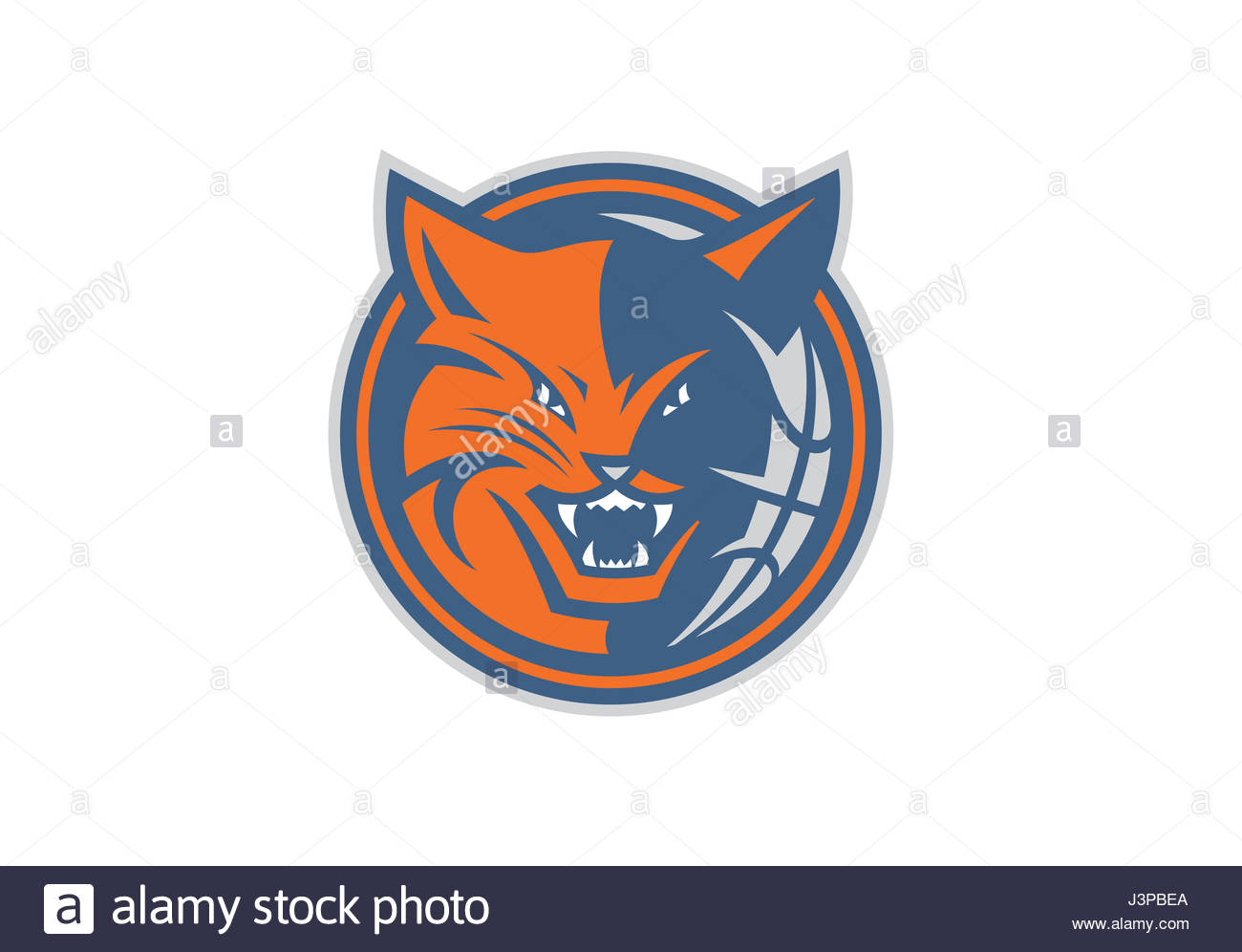 Charlotte Bobcats Nba Team Stock Photo 140018882 Alamy