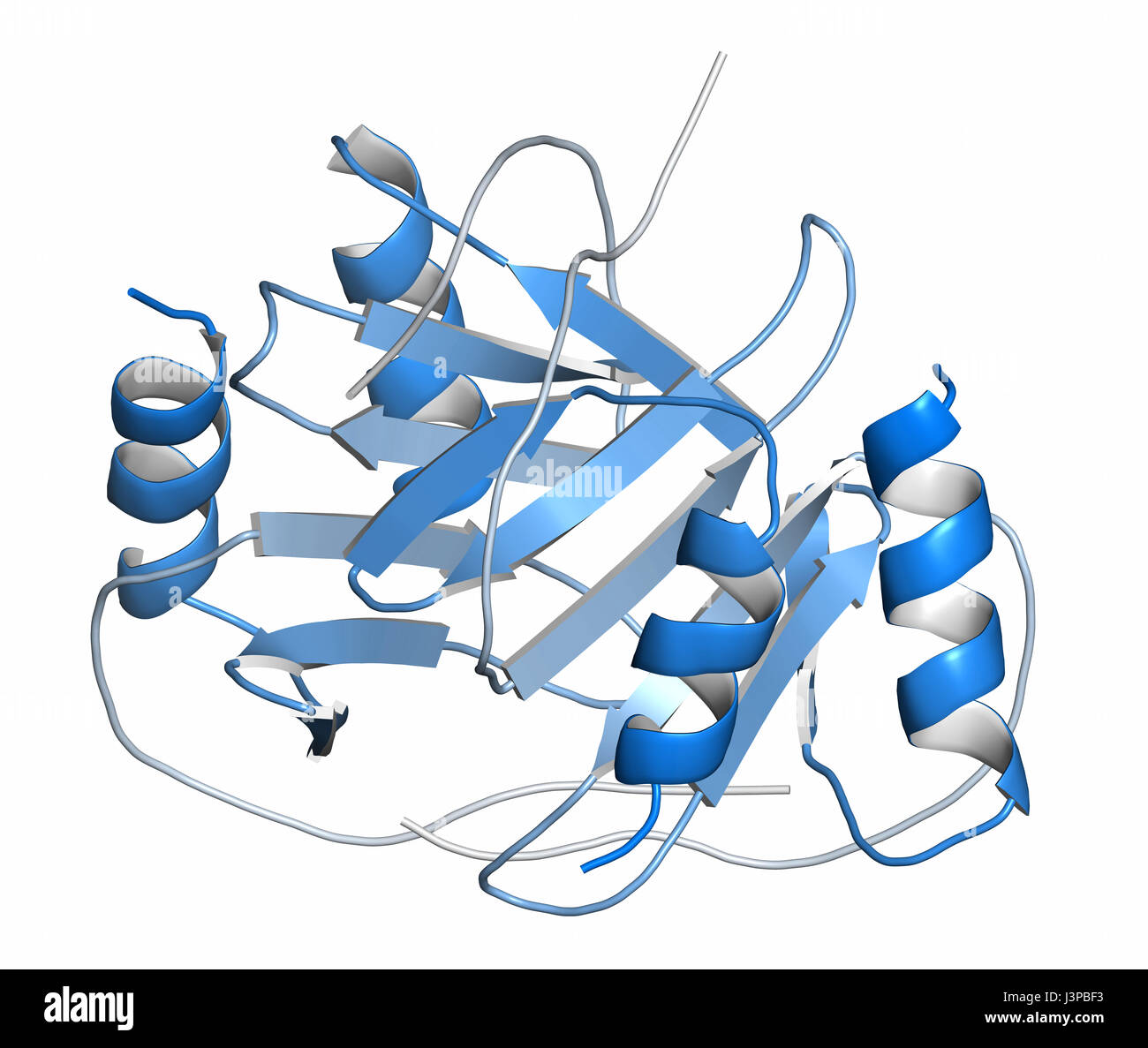 Platelet factor 4 (PF-4) chemokine protein. Cartoon representation. N-to-C gradient coloring. Stock Photo