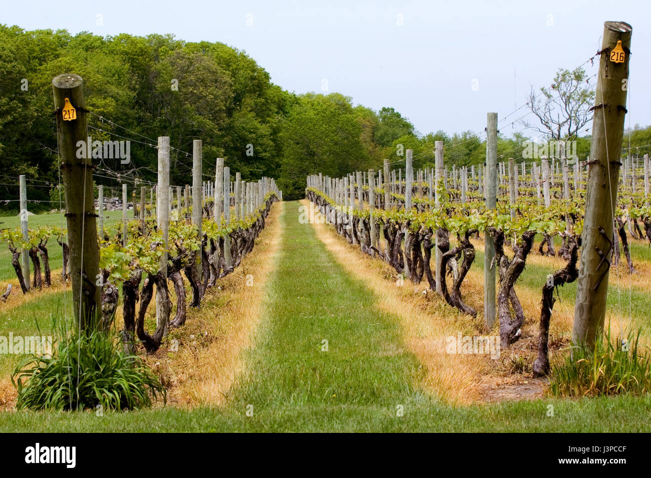 Compton farm hires stock photography and images Alamy