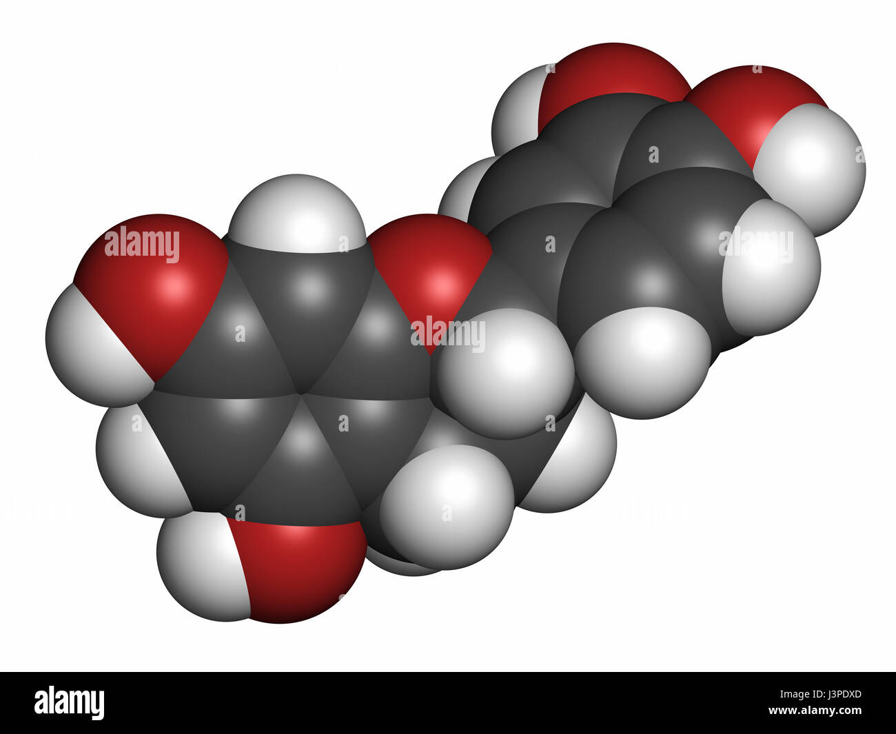 Epicatechin (lepicatechin) chocolate flavonoid molecule. Atoms are