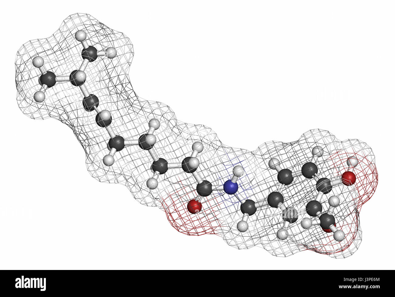 Capsaicin chili pepper molecule. Used in food, drugs, pepper spray, etc