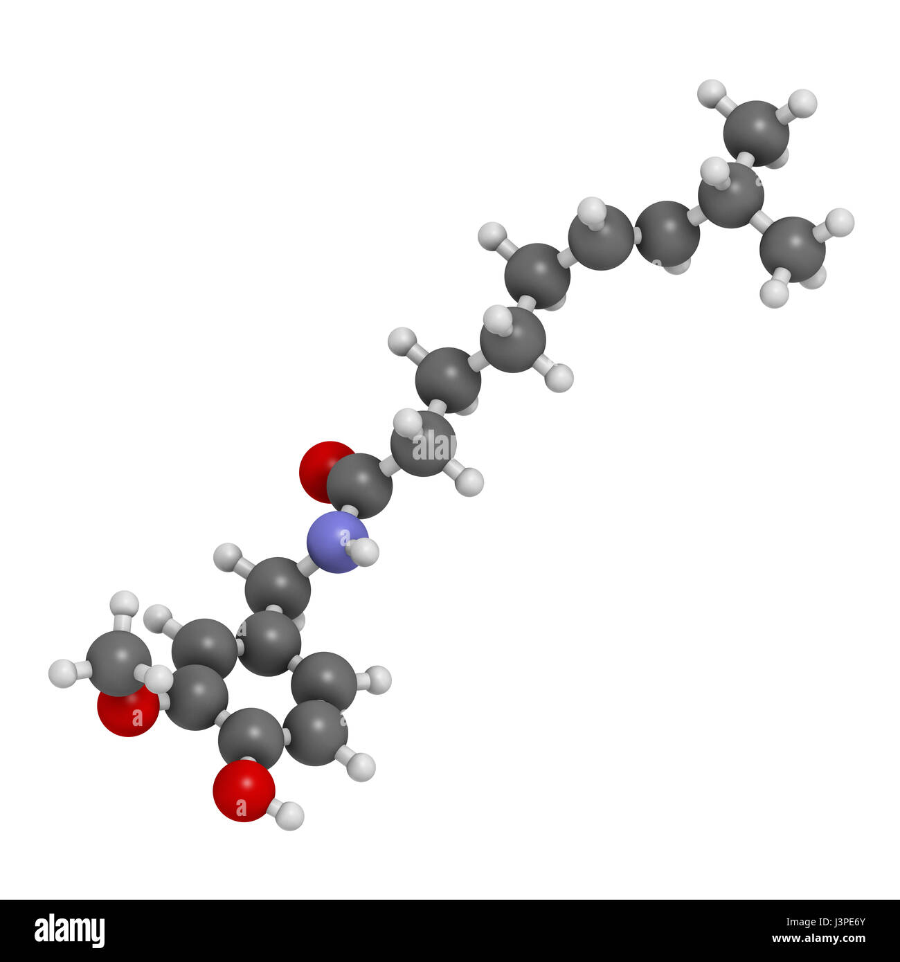 Capsaicin chili pepper molecule. Used in food, drugs, pepper spray, etc. Atoms are represented
