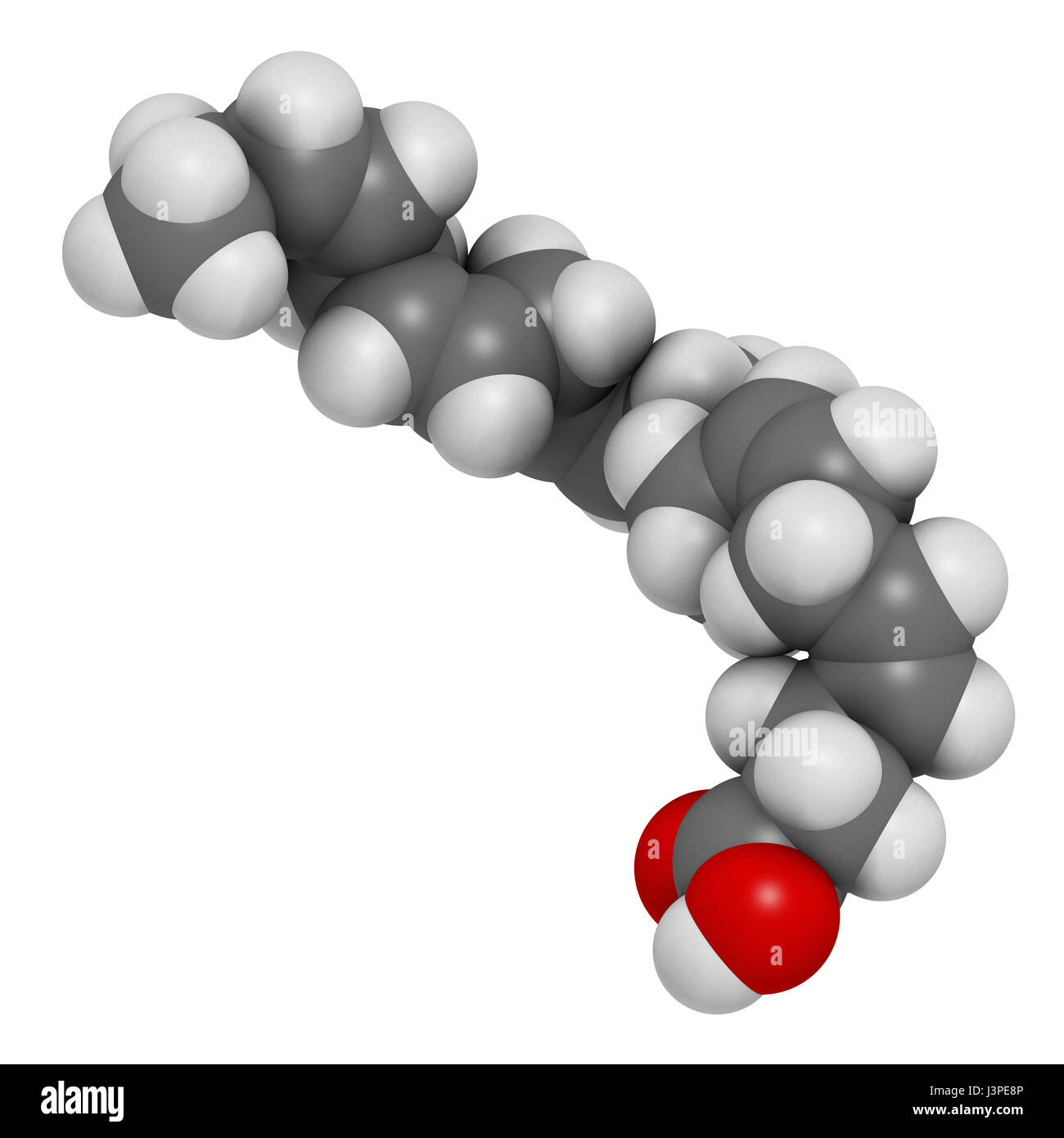 Docosahexaenoic acid (DHA, cervonic acid) molecule. Polyunsaturated