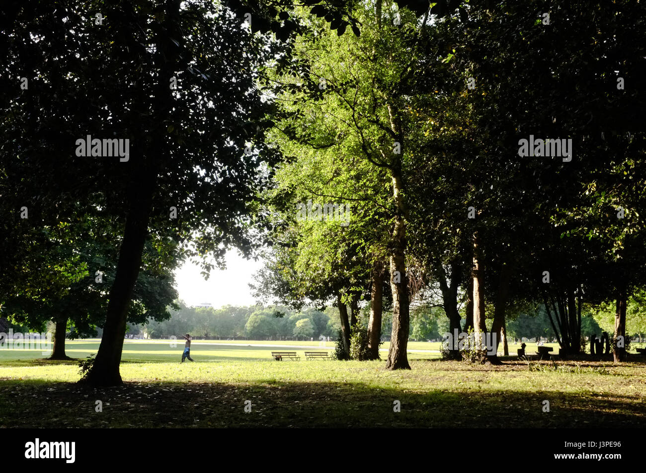 View of Victoria Park in London. Stock Photo