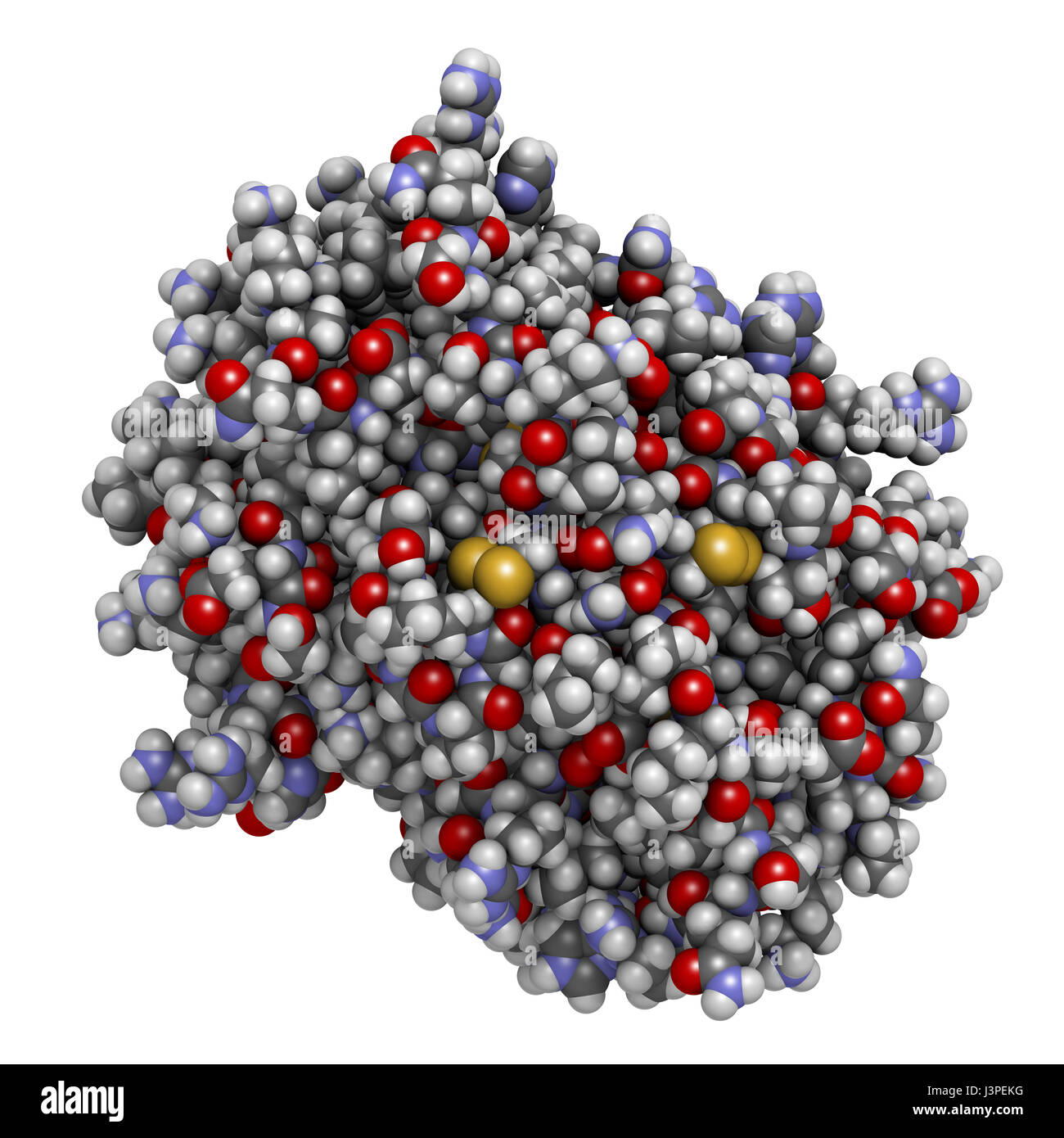 Platelet factor 4 (PF-4) chemokine protein. Atoms are represented as spheres with conventional color coding. Stock Photo