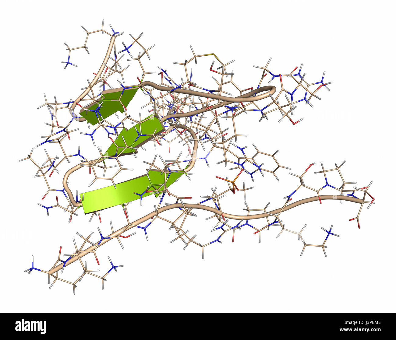 Hyperphosphorylated hi-res stock photography and images - Alamy