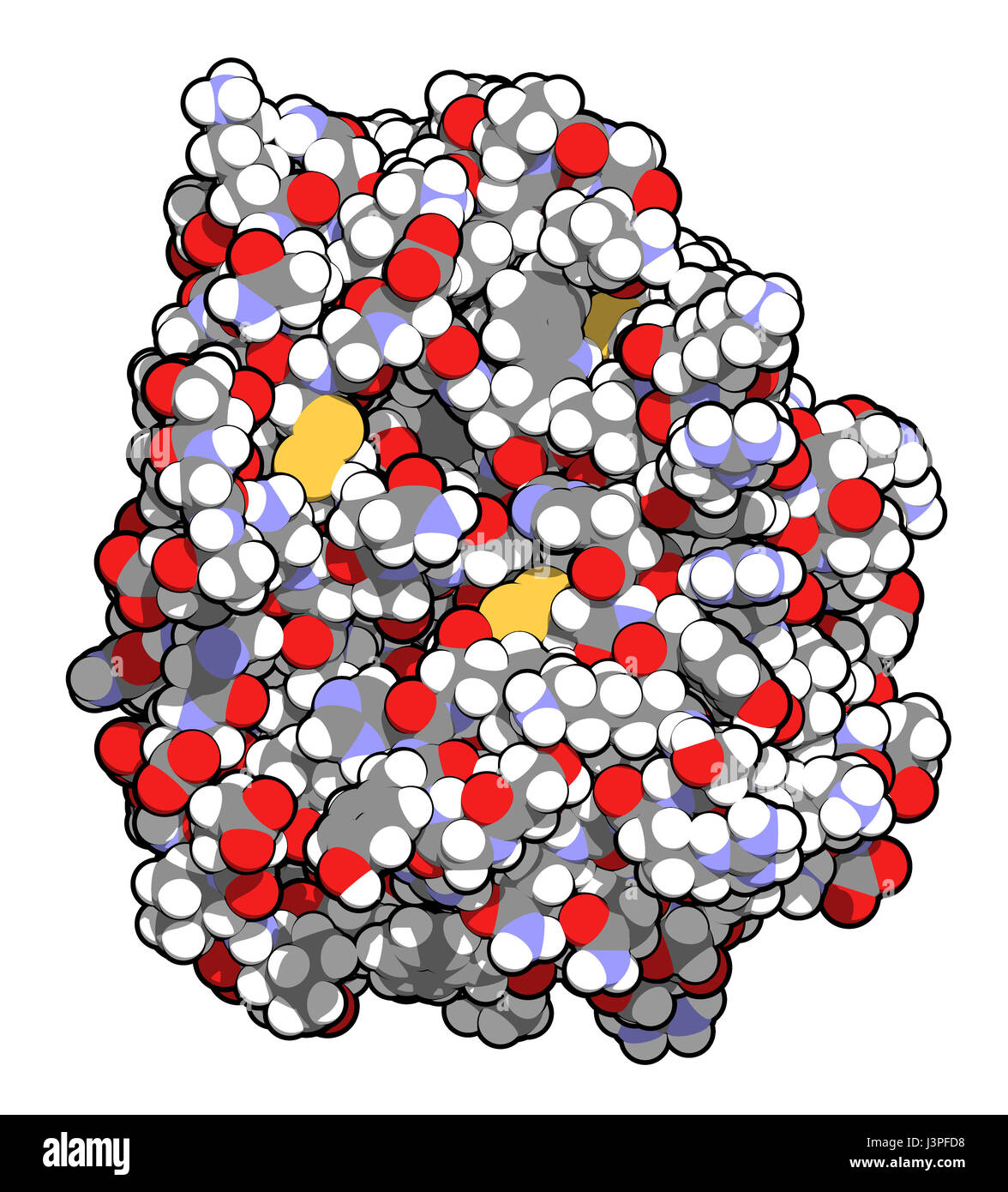 Trypsin digestive enzyme molecule (human). Enzyme that contributes to the digestion of proteins in the digestive system. Atoms are represented as sphe Stock Photo
