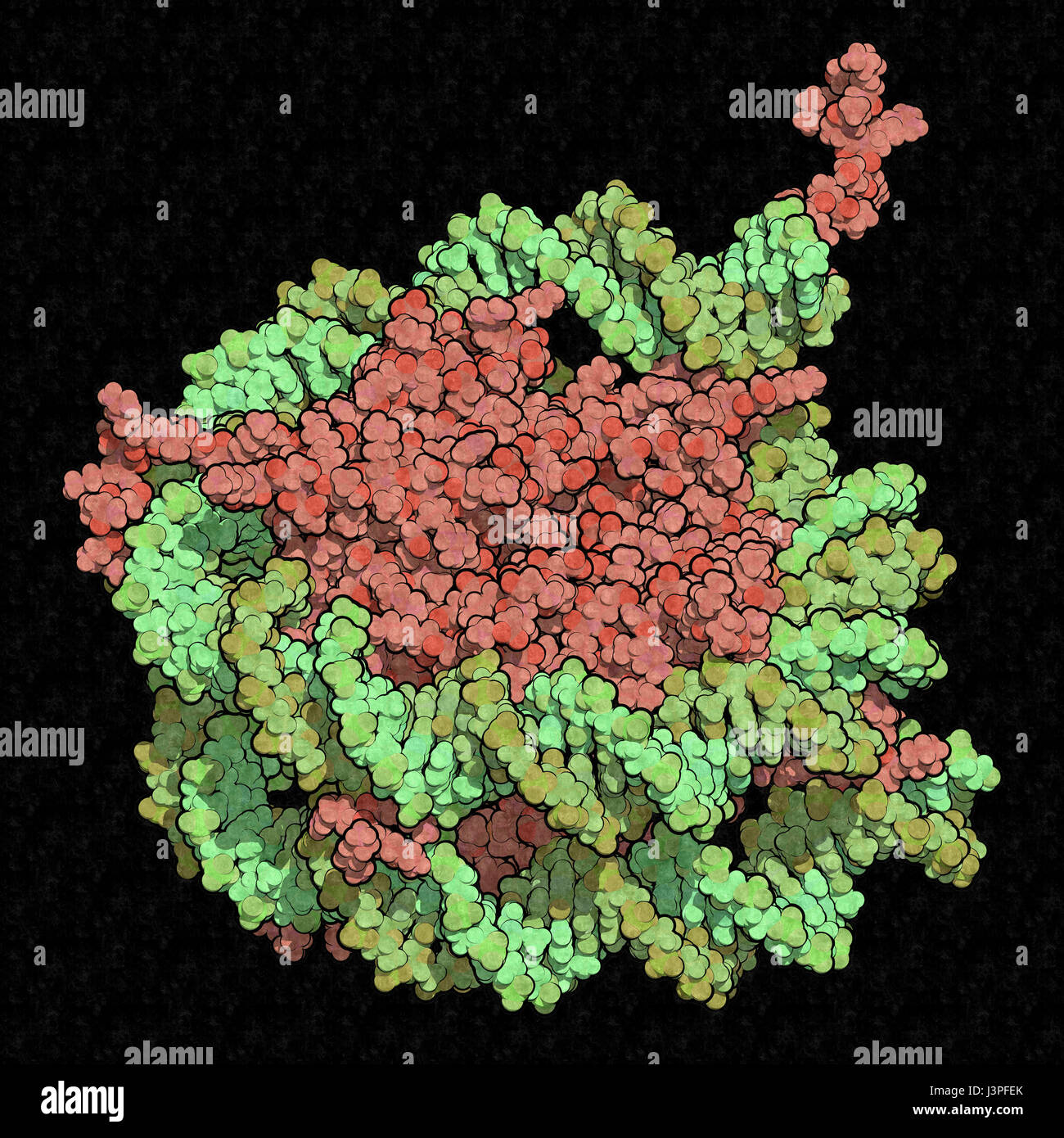 Nucleosome hi-res stock photography and images - Alamy