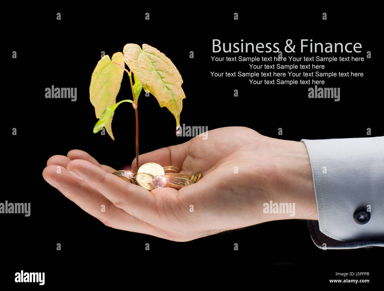 Money and plant with hand - finance new business.  Growing money on the palm - profit Stock Photo