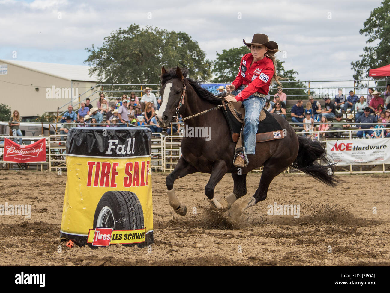 Barrel racing action at the rodeo in Cottonwood, California Stock Photo ...