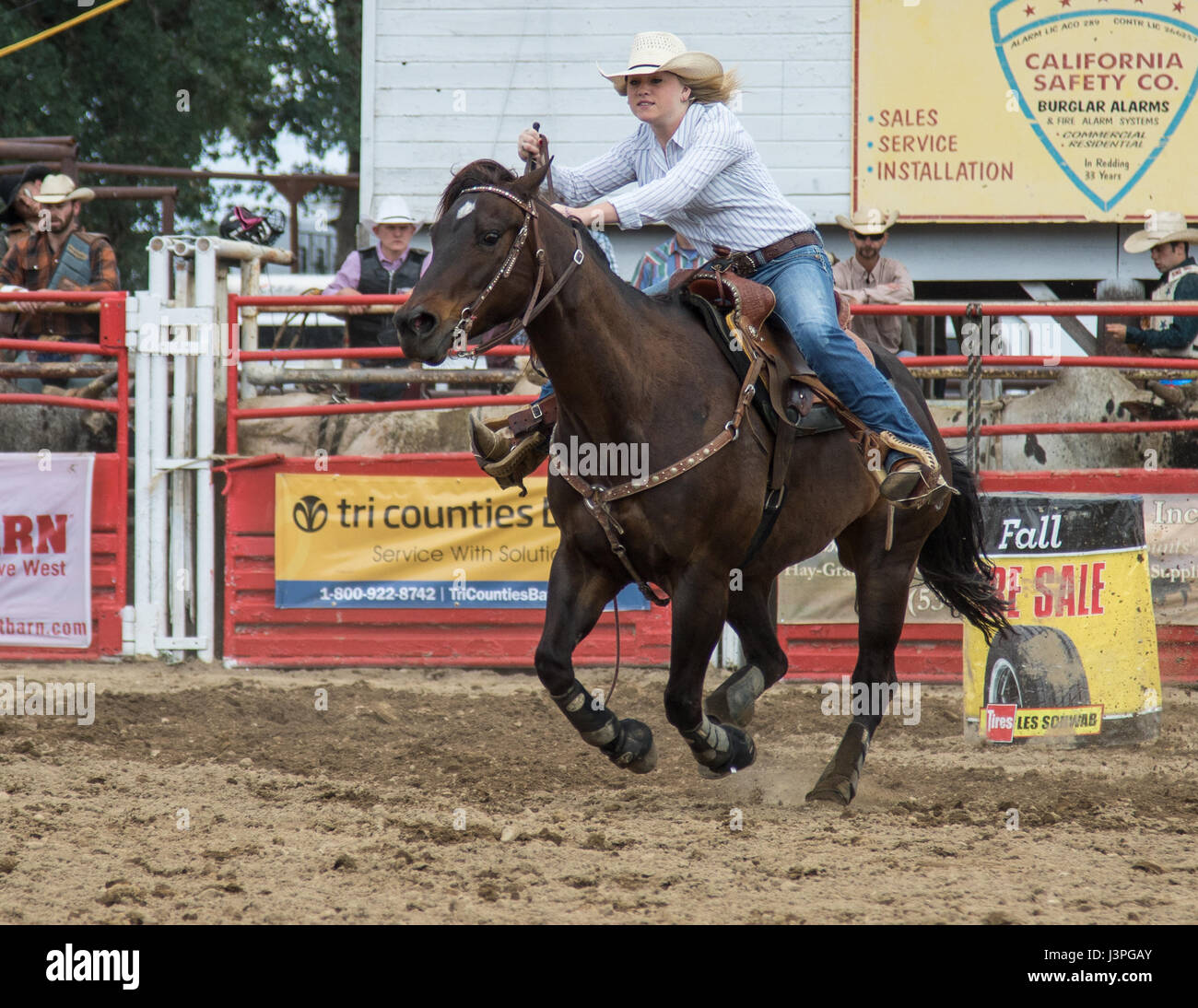 Barrel racing action at the rodeo in Cottonwood, California Stock Photo ...