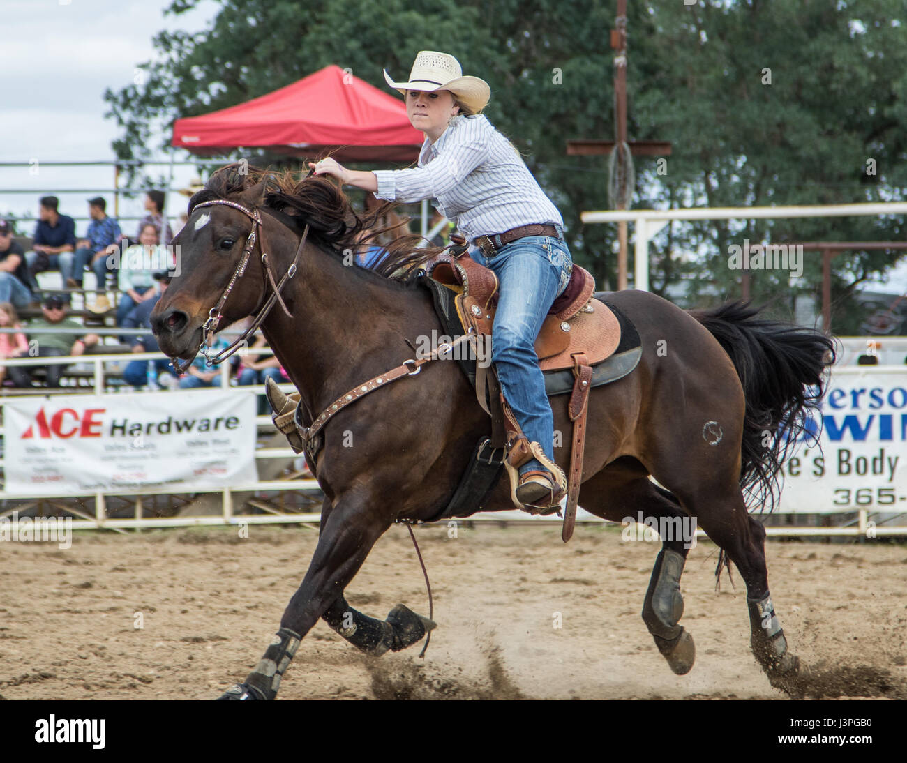 Barrel racing action at the rodeo in Cottonwood, California Stock Photo ...