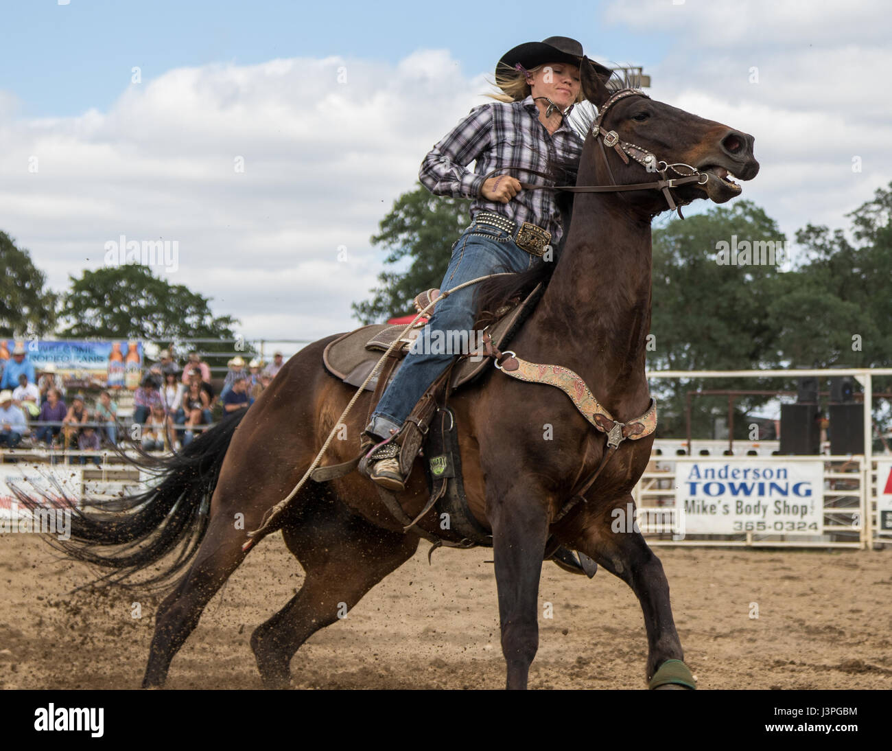 Barrel racing action at the rodeo in Cottonwood, California Stock Photo ...