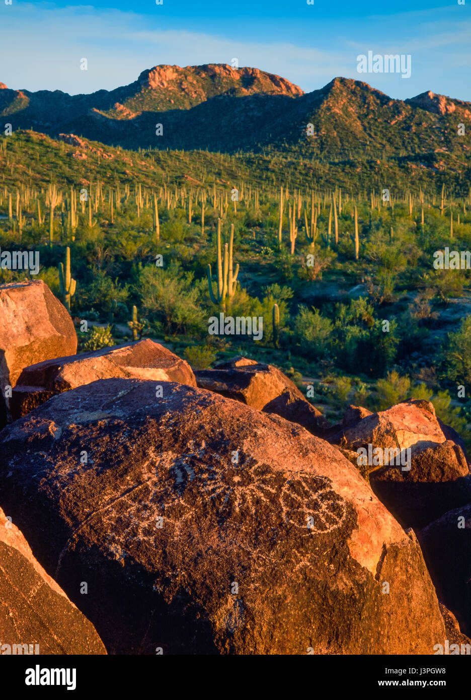 The Signal Hill Trail in Saguaro National Park takes visitors back