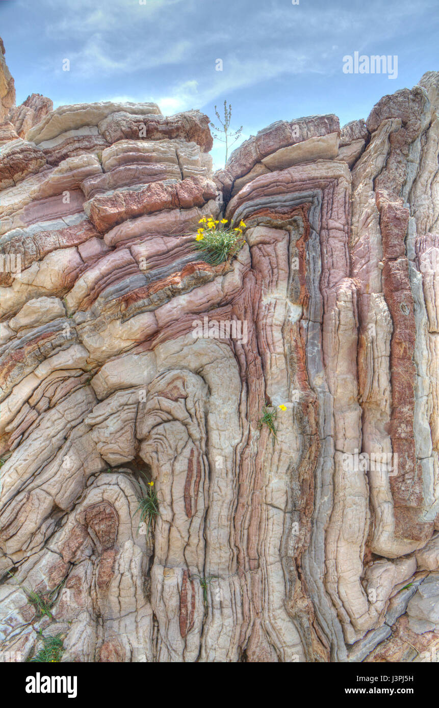 Pioneer vegetation on folded limestone on Crete, Greece Stock Photo