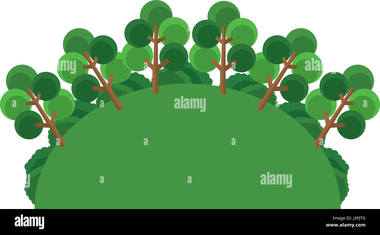 greenery tree forest landscape natural Stock Vector Image & Art - Alamy
