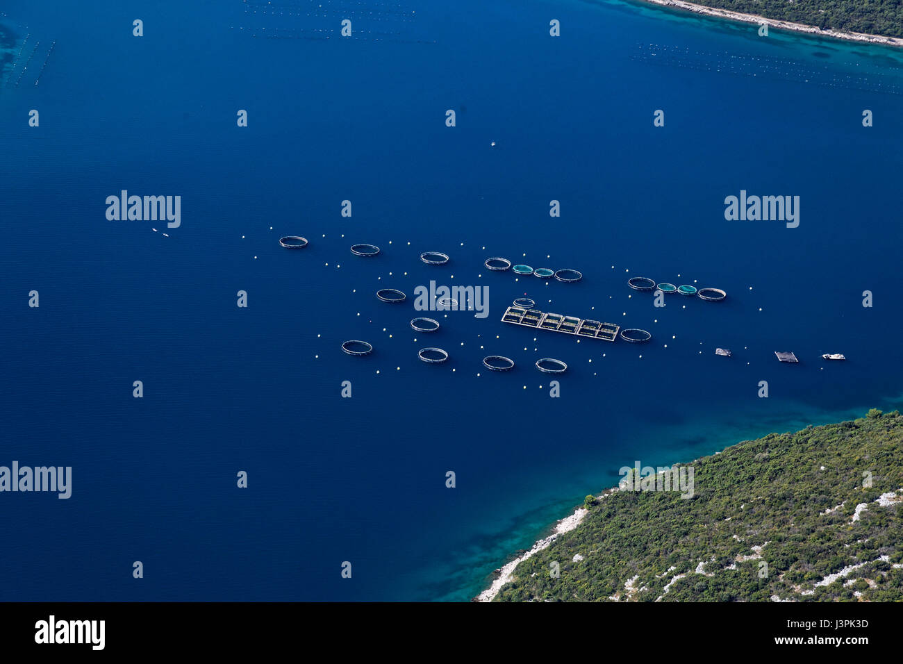 Mariculture in Mali Ston Bay in the Adriatic Sea near Pelješac, Croatia Stock Photo