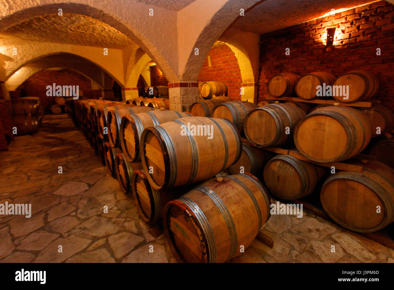 Vine cellar in Pelješac, Croatia Stock Photo