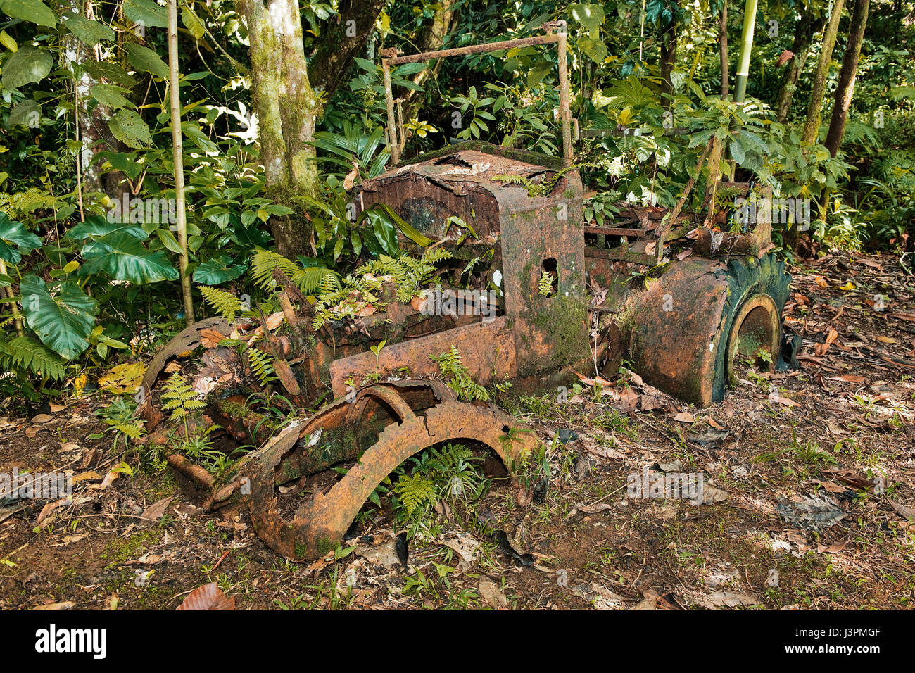 wreck of worldwar II car, japanese army SUV, Koror Island, Republic of Palau, Caroline Islands, Micronesia, Oceania, Palau Stock Photo