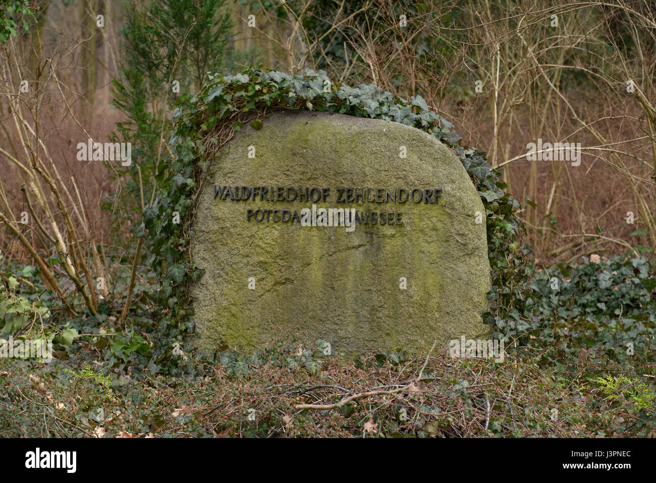 Grabstein, Waldfriedhof Zehlendorf, Potsdamer Chaussee, Zehlendof, Berlin, Deutschland Stock Photo