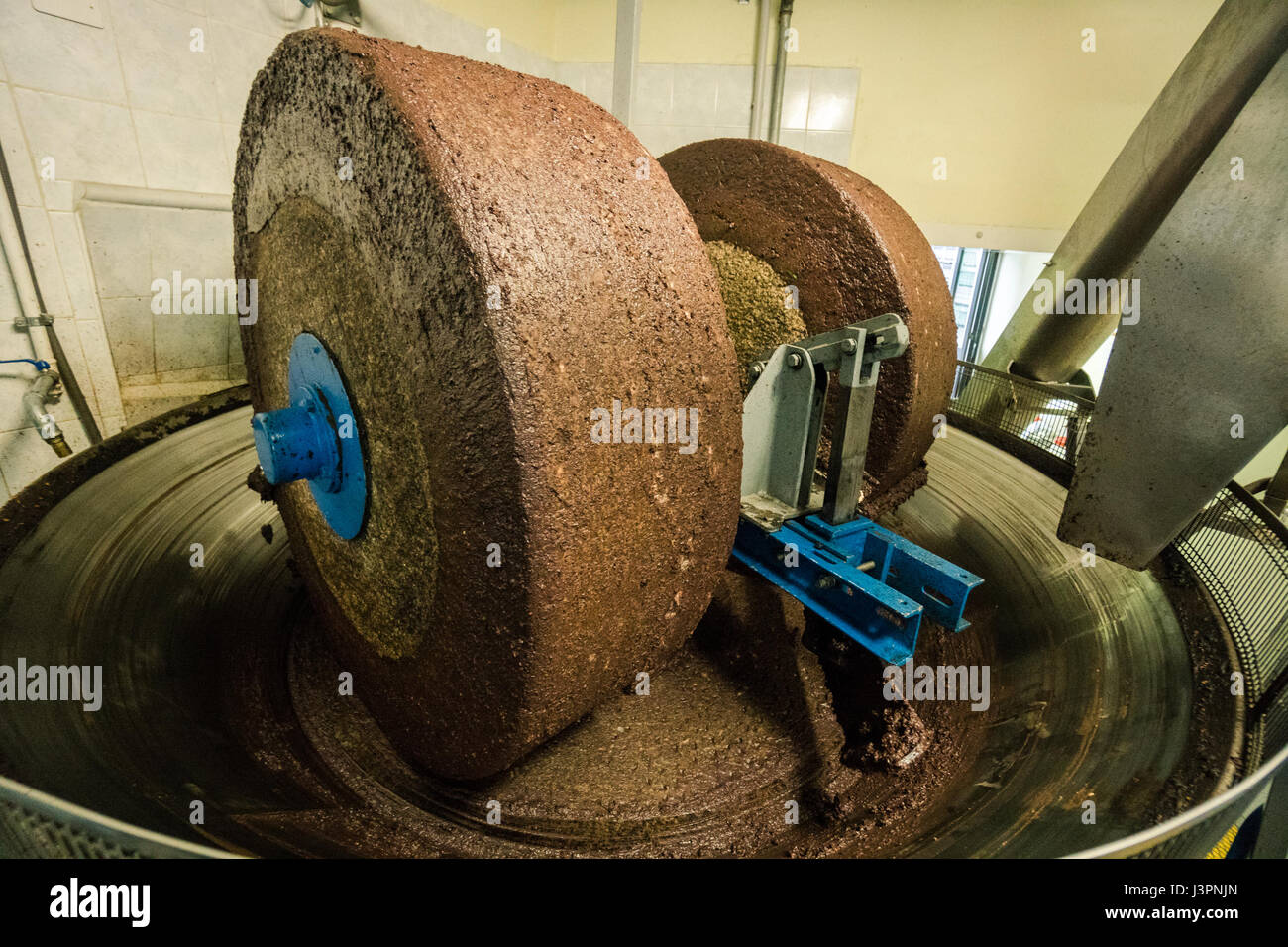 Extraction of oil from olives by means of a circular grinding stone