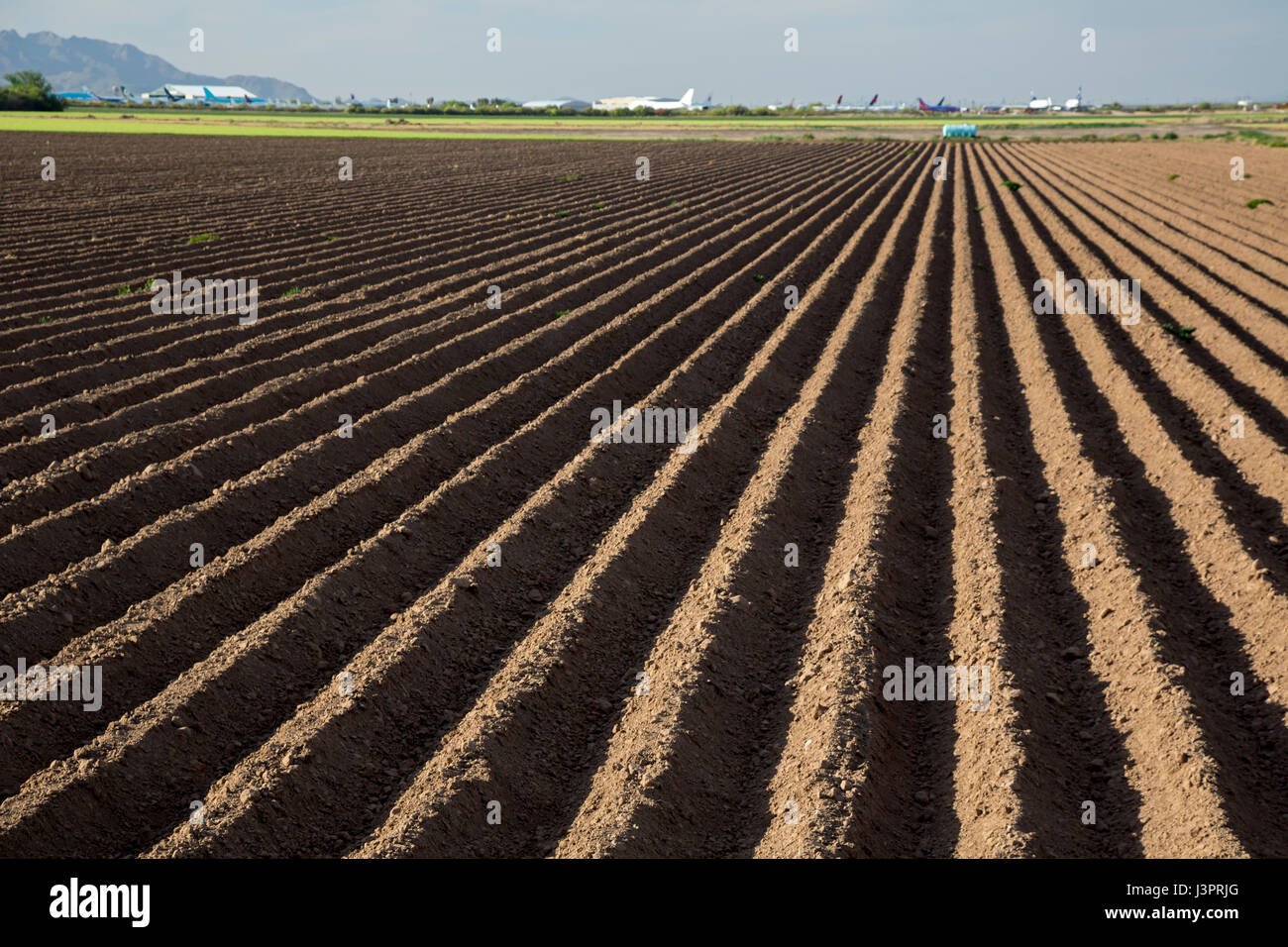 Desert farming hires stock photography and images Alamy