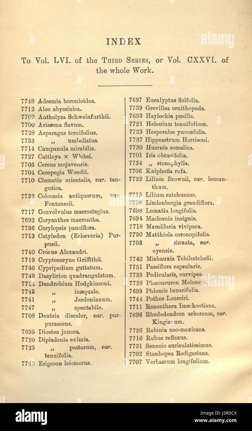 Index   Curtis' 126 (Ser. 3 no. 56) (1900) Stock Photo